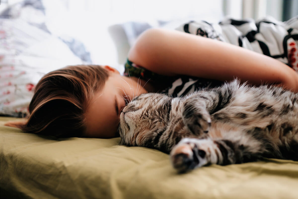 ¿Es una buena idea dormir con el gato?