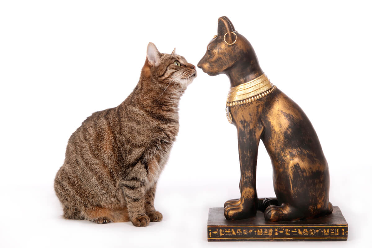 ¿Por qué los Egipcios adoraban a los gatos?